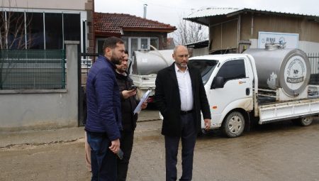 Çiğ sütte Pazaryeri’nden ülke ekonomisine milyonluk katkı