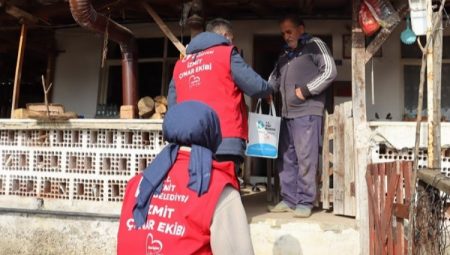 İzmit Belediyesi Çınar Ekibi çalışmalarını sürdürüyor