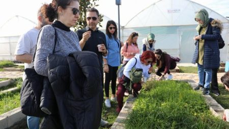 İzmit Belediyesinden permakültür eğitimleri