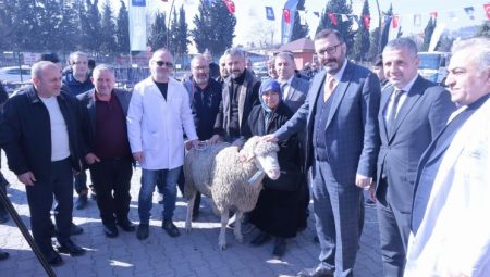 Kocaeli’den üreticiye koç ve teke desteği