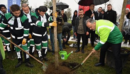 Bursa’da erguvan fidanları toprakla buluştu