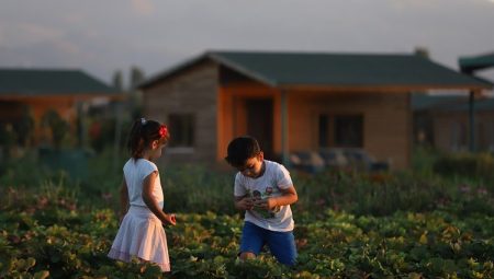 Büyükşehir’de 2 bin 543 adet “hobi bahçesi” başvuruları başladı