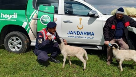 Edirne Jandarması’ndan hayvan sağlığı bilgilendirmesi