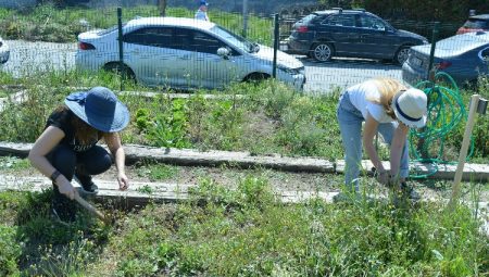 İstanbul’da hobi bahçeleriyle sahipleriyle buluştu