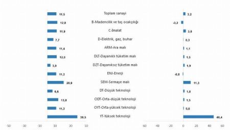 Sanayi üretimi yıllık ve aylık artışta