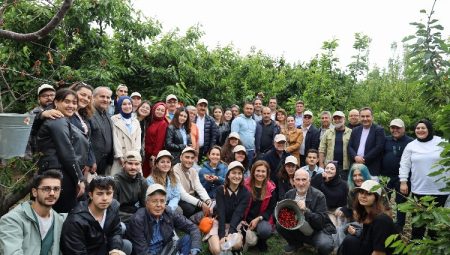 Ege’de kiraz hasadına enerji kattılar