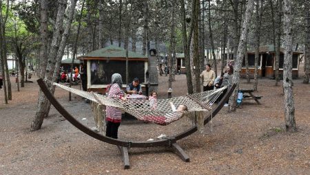 Piknikçilerin yeni gözdesi Park Ankara