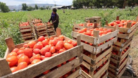 Bursa Yenişehir’e Tarım OSB için girişimler sürüyor