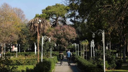 Dokuz Eylül ‘en çevreci’ seçildi