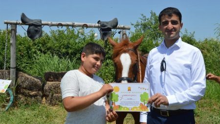 Edirne İpsala’da da özel eğitimde hipoterapi eğitimleri tamamlandı