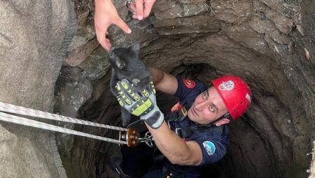 Minik yavruya Kayseri İtfaiyesi’nden yardım