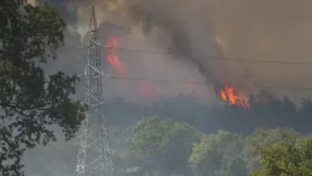 Bursa’daki orman yangını hakkında dikkat çeken iddialar