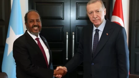 Cumhurbaşkanı Erdoğan Somalili mevkidaşıyla görüştü