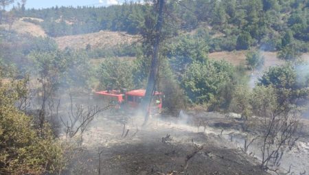 Orhaneli’nde orman yangını çıktı 