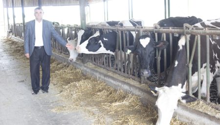 Süt fiyatlarında düşüş başladı