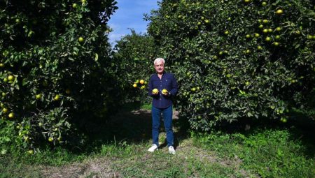 ‘Böyle devam ederse sofraya koyacak ürün bulamayacağız’