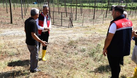 Bilecik Pazaryeri’nde yağıştan zarar gören arazilere yakın mercek