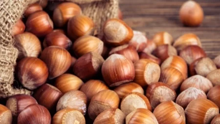 Fındık alım fiyatları belirlendi