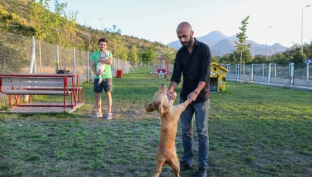 Talas’ta hayvanlara özel patiyol        