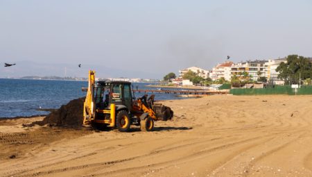 Yalova kumsallarında temizlik sürüyor