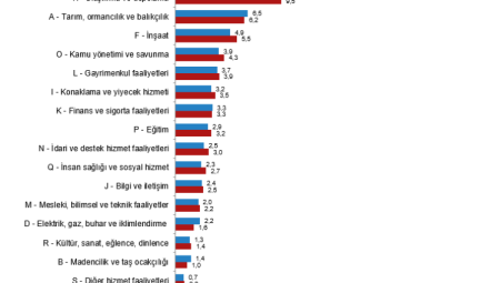 Gayrisafi yurt içi hasıla 2023’te yüzde 5,1 arttı