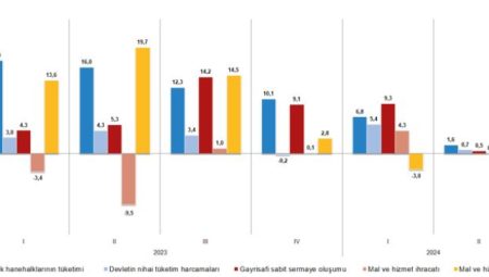 İkinci çeyrekte ekonomimiz büyüdü