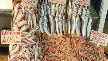 Mudanya’daki balıkçı tezgahları palamutla doldu