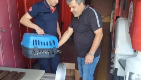 Yaralı leyleği Kocaeli İtfaiyesi kurtardı