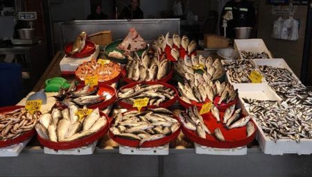 Av yasağına sayılı günler kala tezgahlarda balık bolluğu! – Düzgün Haber