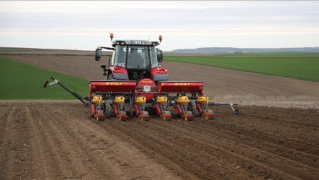 Ayçiçeğinde farklı ekim teknikleri test edildi – Düzgün Haber