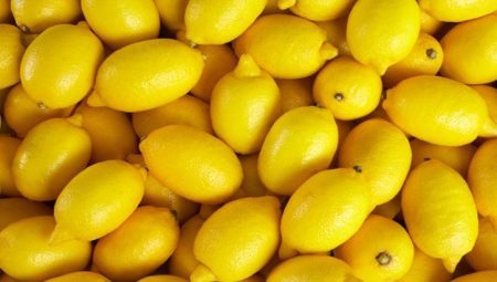 Limon ihracatındaki kısıtlama kaldırıldı – Düzgün Haber
