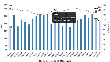 Dış Ticaret Endeksleri, Şubat 2025
