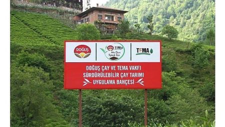 Doğuş Çay ve TEMA Vakfı’ndan sağlıklı topraklar ve sürdürülebilir çay tarımı için ortak adım