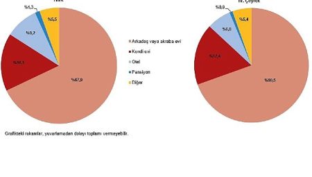 Hanehalkı Yurt İçi Turizm, IV. Çeyrek: Ekim-Aralık, 2024