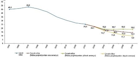 İstatistiklerle Çocuk, 2024