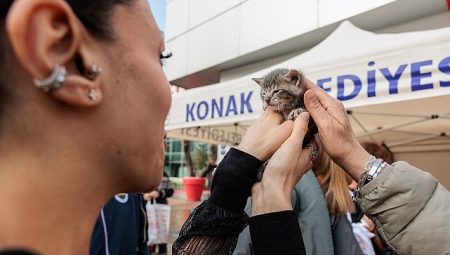 Konak’ta şirin dostlar paha görüyor