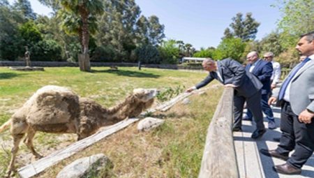 Lider Tugay: İzmir’in vicdanını temsil ediyorsunuz