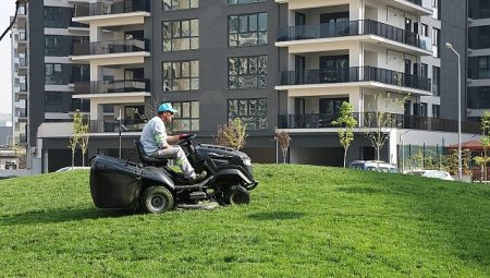 Nilüfer’in parklarında bahar paklığı