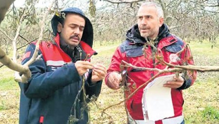 Sigorta ödemeleri nasıl olacak? – Düzgün Haber