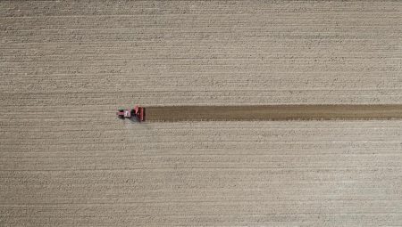 Tarım ÜFE martta arttı – Düzgün Haber