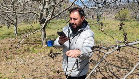 TARSİM zirai don olayının kayısılardaki tesirlerini yerinde tespit etti – Düzgün Haber