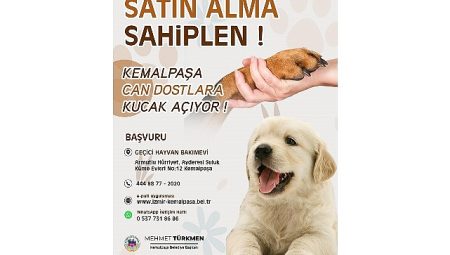 Türkmen: “Can dostlarımıza yuva olmak hepimizin sorumluluğu”