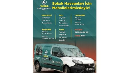 “Vetbak” patili dostların yanında olmaya devam ediyor