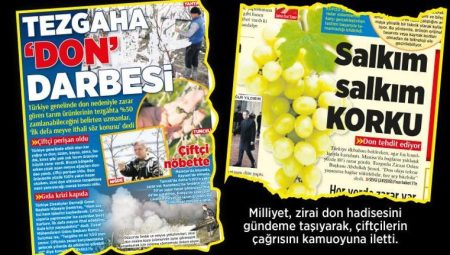 ‘Zirai dondan 34 vilayet etkilendi’ – Düzgün Haber