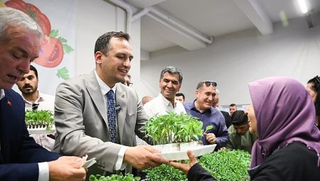 400 bin yazlık fide üreticiyle buluşuyor