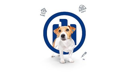 Allianz Türkiye HAYTAP’a takviyesini büyütüyor