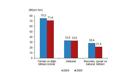 Bitkisel Üretim 1.Tahmini, 2025