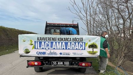 Canik’te Kokarca Böceğine Karşı Uğraşta Atak
