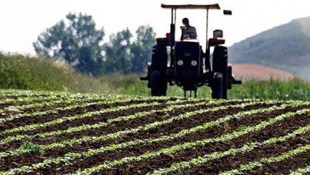 Çiftçilere 6,7 milyar liralık dayanak ödemesi bugün yapılacak – Düzgün Haber