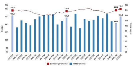 Dış Ticaret Endeksleri, Mart 2025